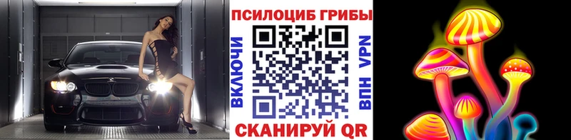 Псилоцибиновые грибы прущие грибы  гидра ссылка  Пудож  продажа наркотиков 